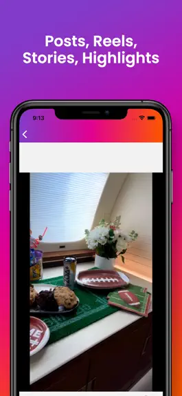 Game screenshot InSave: Stories Posts Reels hack