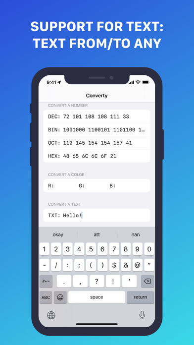 Hex & Binary Convertor Screenshot