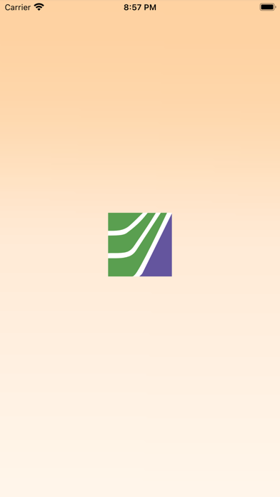 Young Americans Bank Screenshot