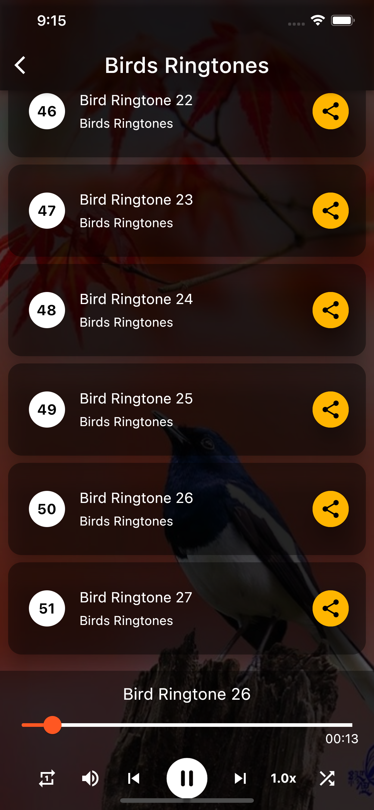 Birds Ringtones