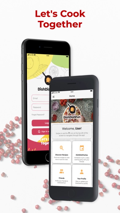 DishDishFun Screenshot