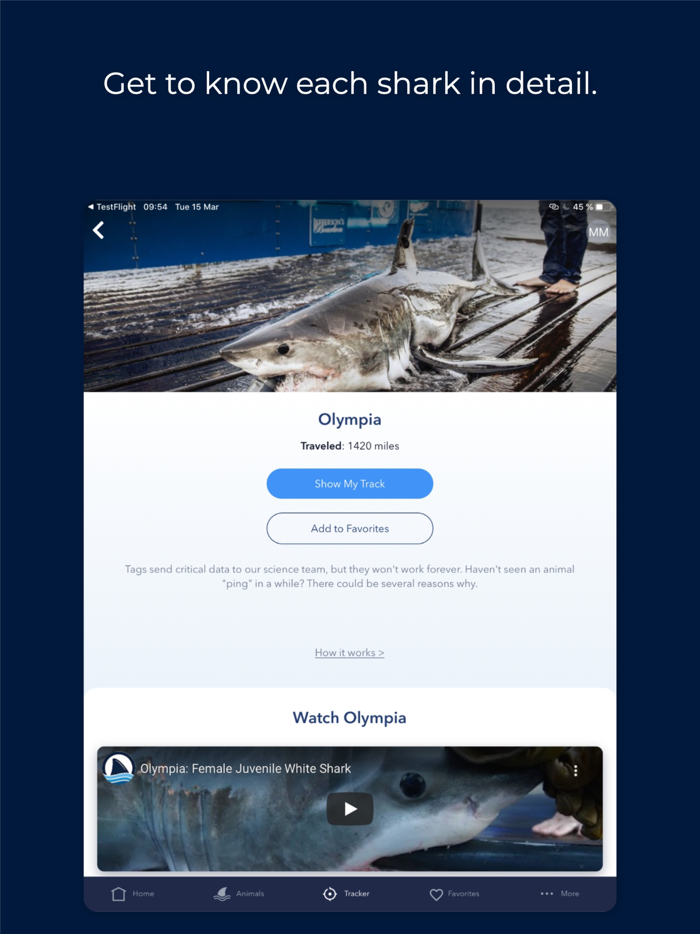 OCEARCH Shark Tracker