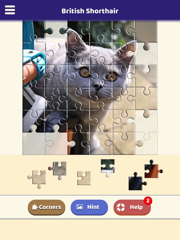 Screenshot #6 pour British Shorthair Puzzle