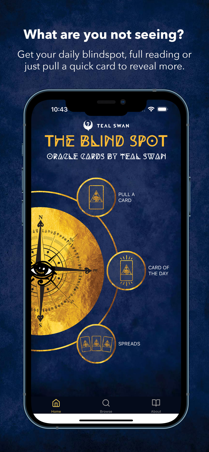Blind Spot Oracle Cards