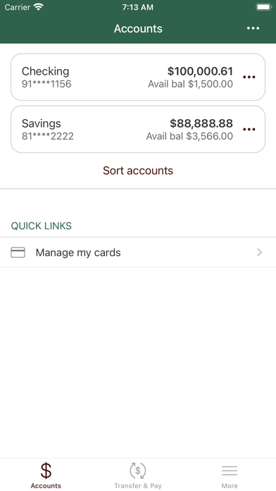 First National Bank of Hope Screenshot