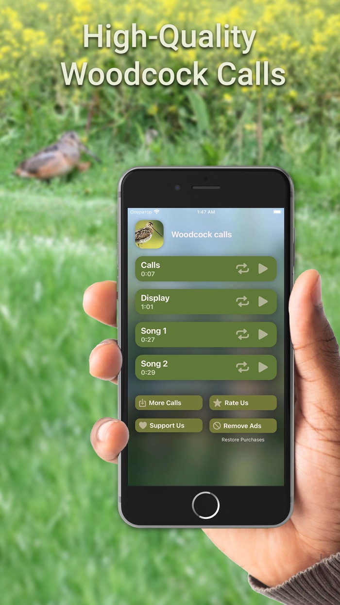 Hunting Calls Woodcock