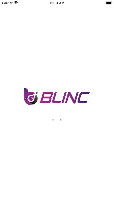 BLINC Accounting Screenshot