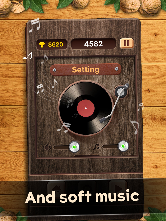 Walnut Wood Block Puzzle