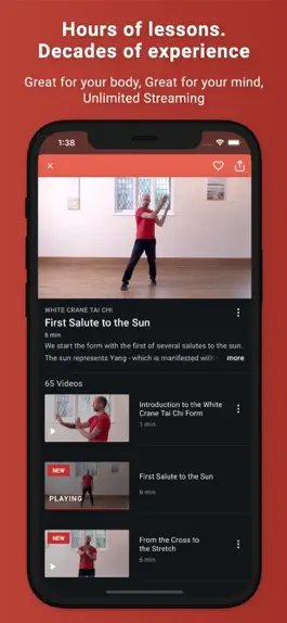 Game screenshot Tai Chi at Home hack