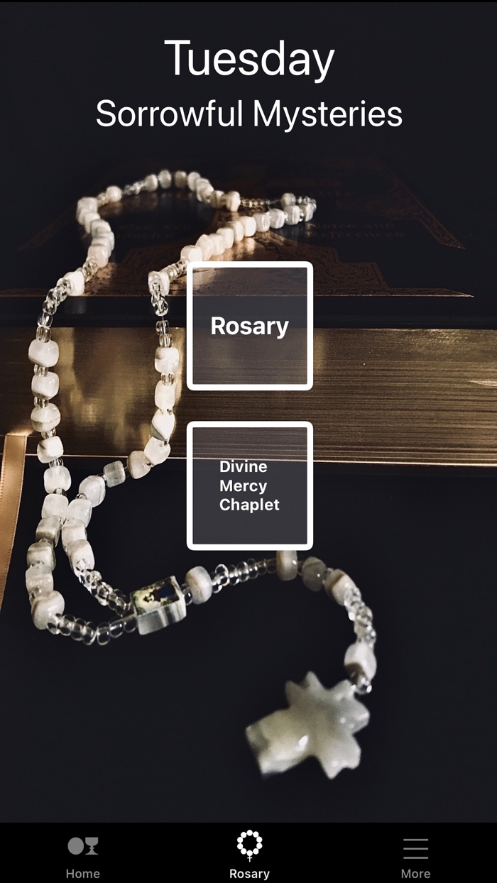 Eucharistic Universe