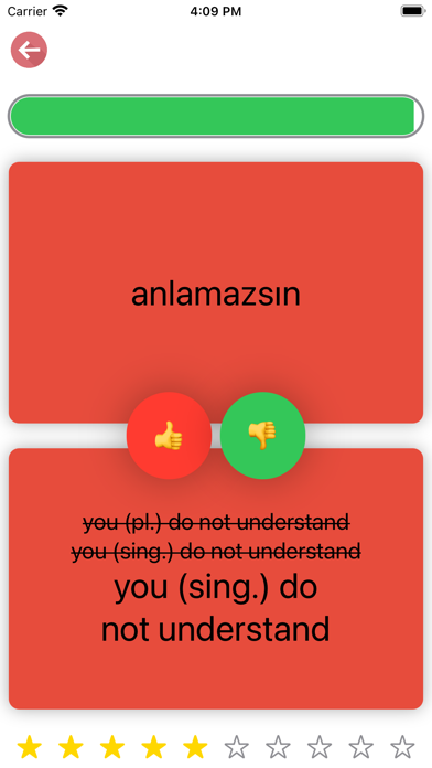 Turkish Verb Blitz Screenshot