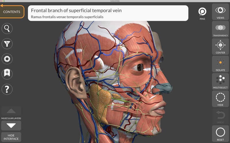 Anatomy 3D Atlas Screenshot