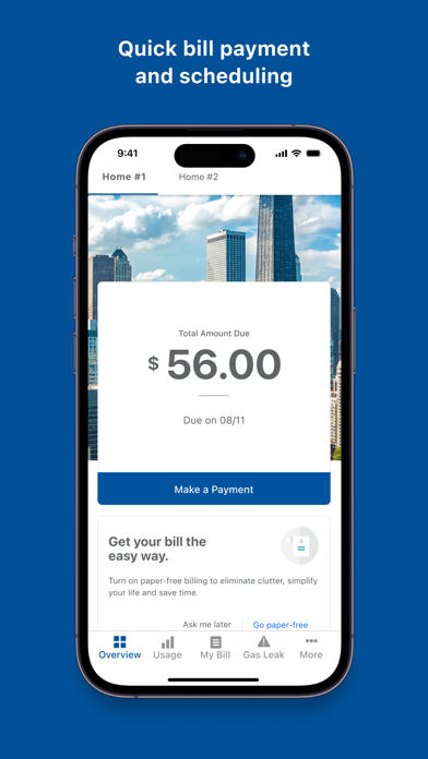 Peoples Gas Chicago Screenshot