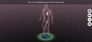 Sections of human heart screenshot #2 for iPhone