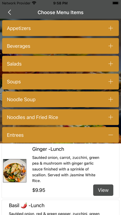 Sadudee Thai Food Screenshot