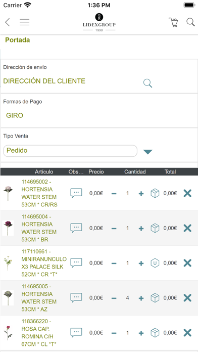 LIDEXGROUP Screenshot