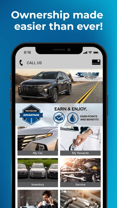 Team Hyundai Advantage Screenshot