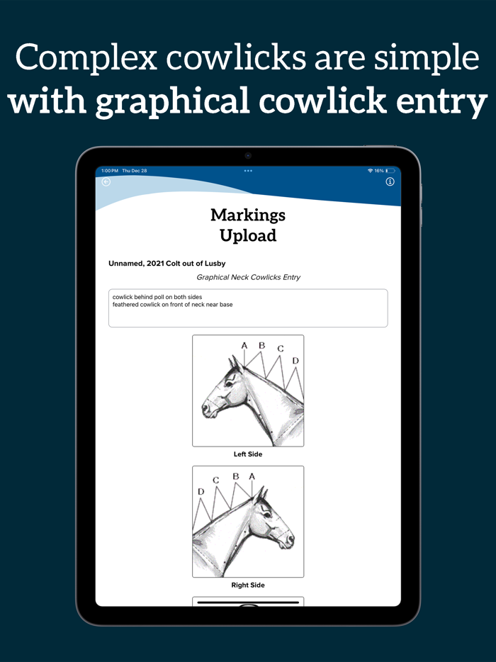 The Jockey Club Identification