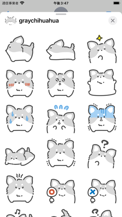 gray chihuahua sticker Screenshot