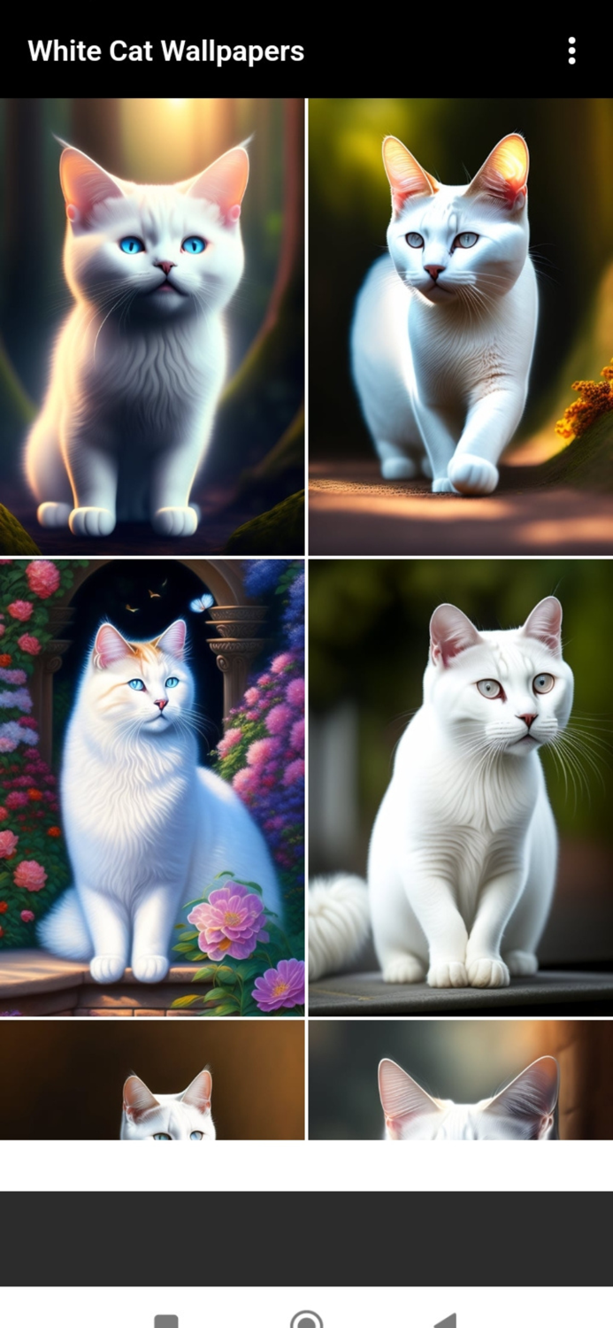 White Cat 4K Wallpapers