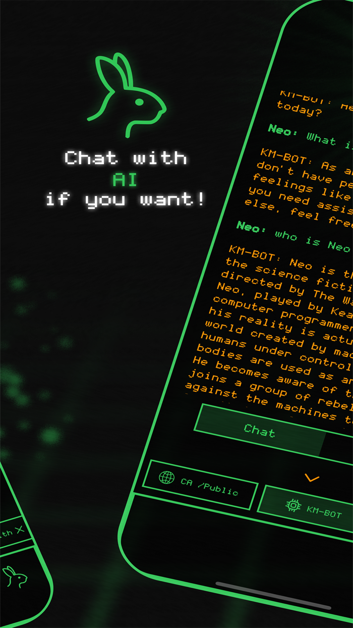 1 KM - AI Chatbot and Strangers