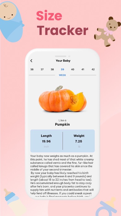 Pregnancy: Baby Growth Tracker Screenshot