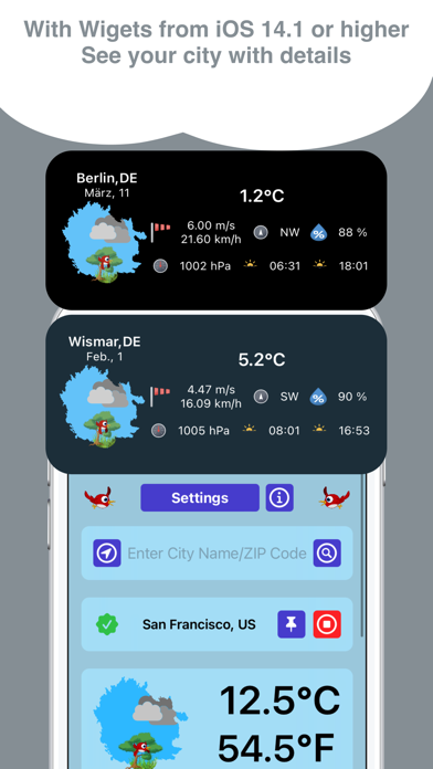 Birdy Weather Screenshot