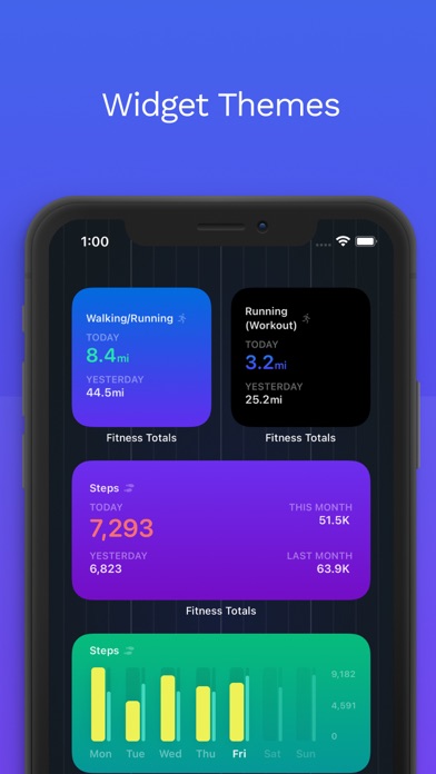 Fitness Totals Screenshot