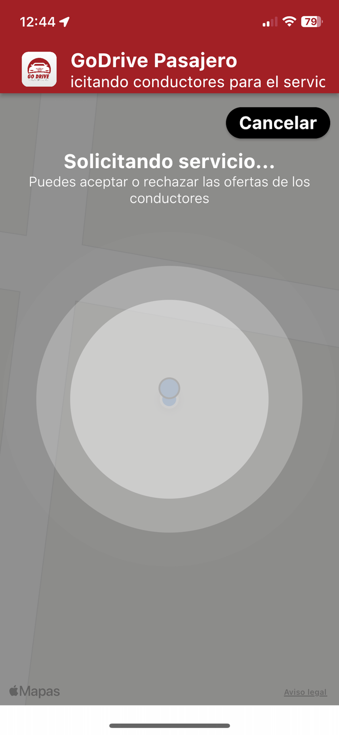 GoDrive Pasajero
