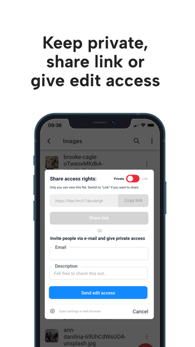 Files.fm Cloud storage Screenshot