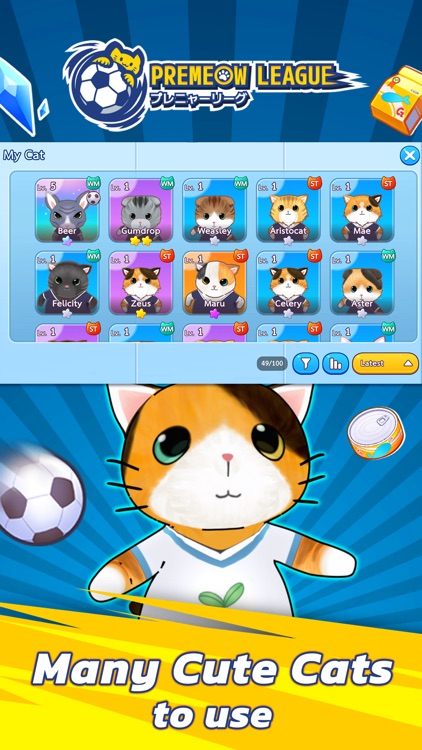 Premeow League Cat Football