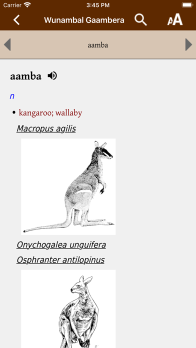 Wunambal Gaambera dictionary Screenshot