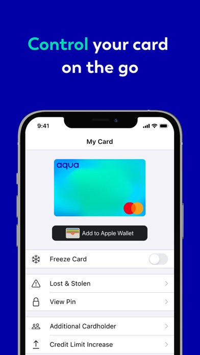 Aqua credit card Screenshot