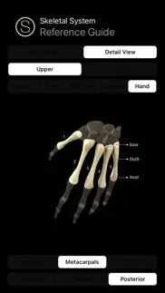 human skeleton reference guide iphone screenshot 4