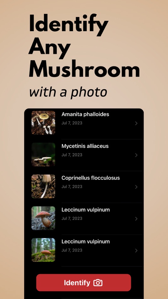 #1. Mushroom Identifier AI (iOS) Podle: Arda Sen