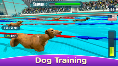 Dog Swimming Raceのおすすめ画像2