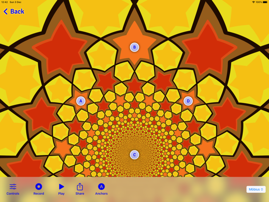 iSymmetry - Pattern Painting iPad screenshot 3 - Graphics & Design app