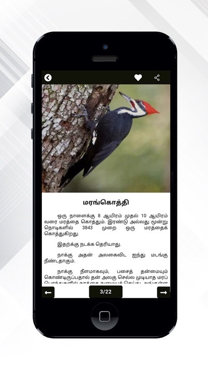 Theriyuma learn GK in Tamil screenshot-6