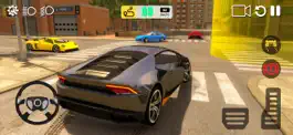 Game screenshot Driving Simulator: Car Games apk