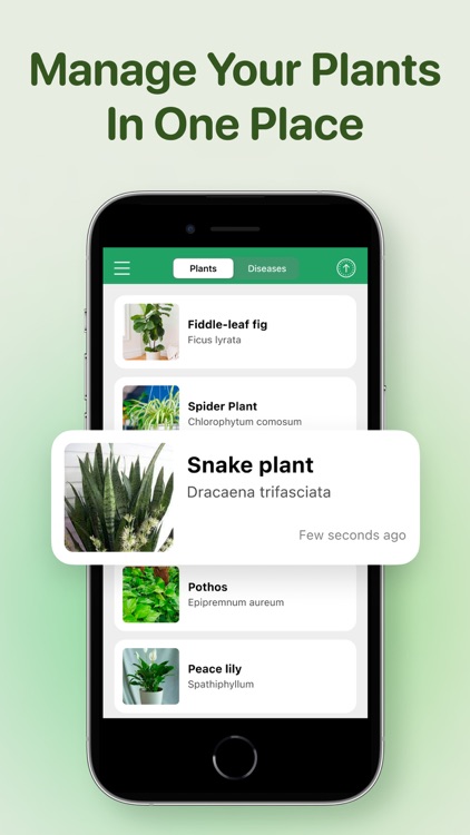 AI Plant Identifier - Plant ID screenshot-4