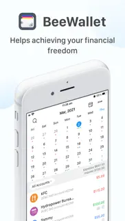 beewallet - account tracker iphone screenshot 1