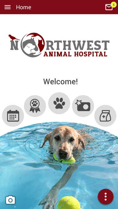 Northwest Animal Hospital Screenshot