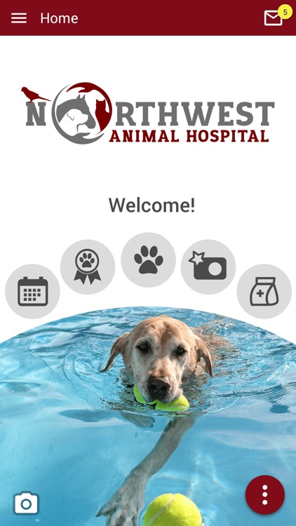 Northwest Animal Hospital