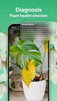 leafsnap-plant identification iphone screenshot 3