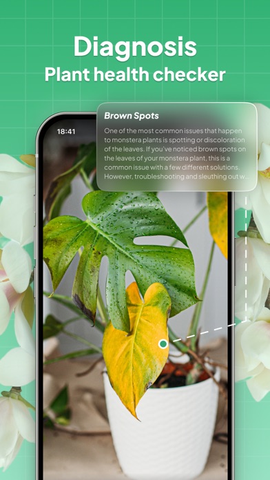 LeafSnap-Plant Identification Screenshot