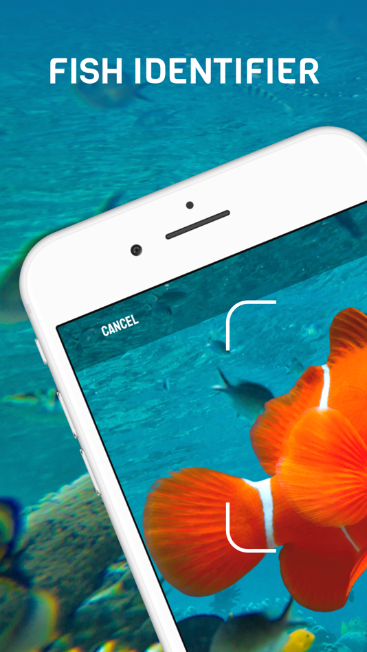 #1. Fish Identifier - Fish Scanner (iOS) 由: Dinh Dong Nguyen
