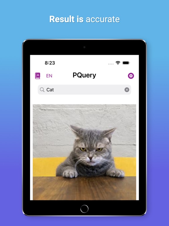 PicQuery-AI Photo finder iPad screenshot 3 - Photo & Video app