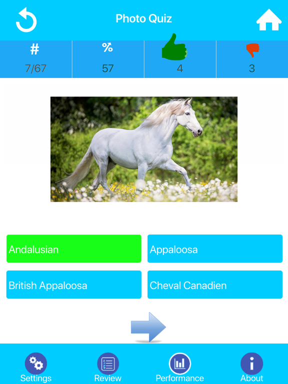 Screenshot #6 pour Learn Horse Knowledge