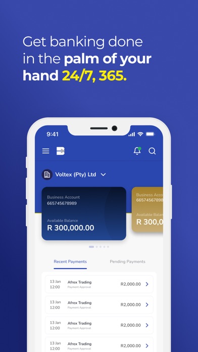Bidvest Business Screenshot