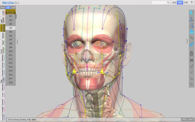 Acupoints 3.1 Screenshot